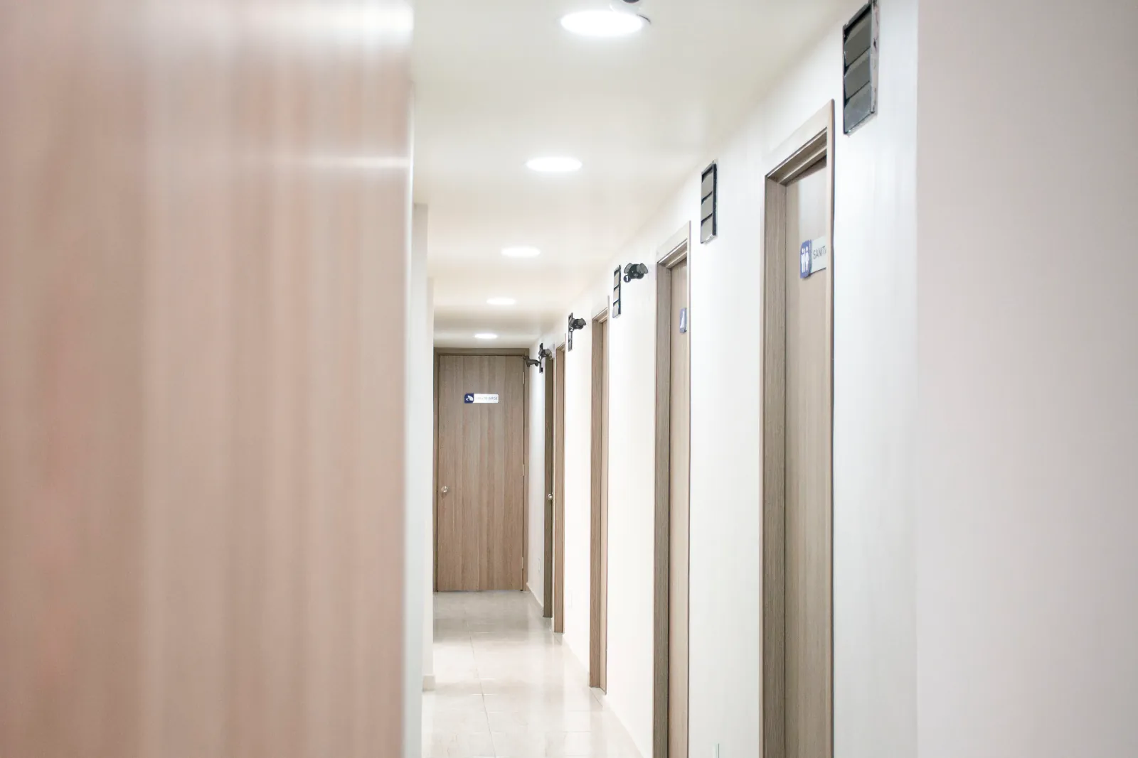 Perro y gato en DermaVet